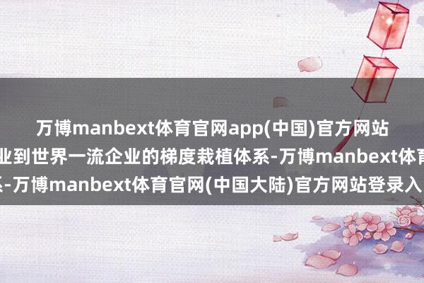 万博manbext体育官网app(中国)官方网站构建从专精特新中小企业到世界一流企业的梯度栽植体系-万博manbext体育官网(中国大陆)官方网站登录入口